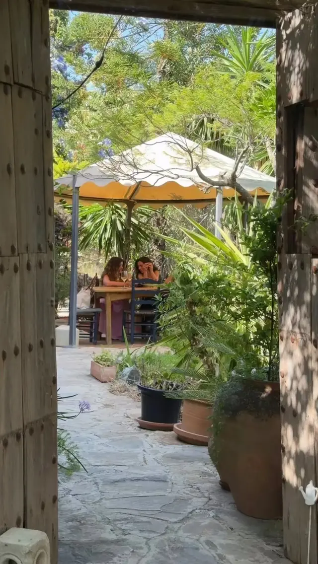 Lunch under the canopy in the garden